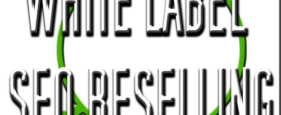 how-to-become-seo-reseller