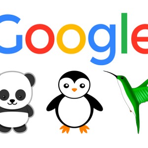 google-algorithm-updates