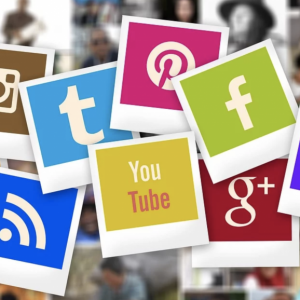 Which Social Media Should I Put My Efforts into for My Business?